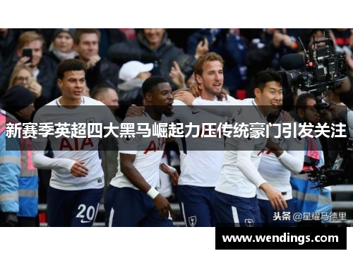 新赛季英超四大黑马崛起力压传统豪门引发关注