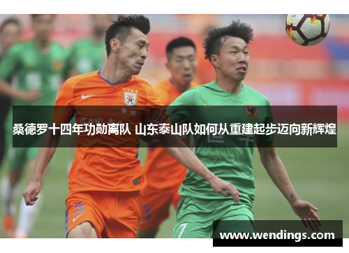 桑德罗十四年功勋离队 山东泰山队如何从重建起步迈向新辉煌 桑德罗十四年功勋离队 山东泰山队如何从重建起步迈向新辉煌
