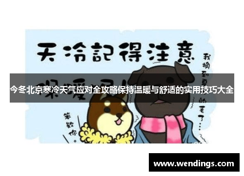 今冬北京寒冷天气应对全攻略保持温暖与舒适的实用技巧大全 今冬北京寒冷天气应对全攻略保持温暖与舒适的实用技巧大全