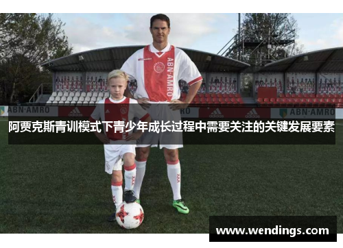 阿贾克斯青训模式下青少年成长过程中需要关注的关键发展要素