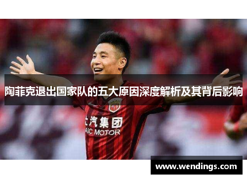 陶菲克退出国家队的五大原因深度解析及其背后影响