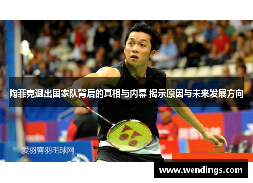 陶菲克退出国家队背后的真相与内幕 揭示原因与未来发展方向