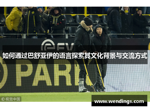 如何通过巴舒亚伊的语言探索其文化背景与交流方式 如何通过巴舒亚伊的语言探索其文化背景与交流方式