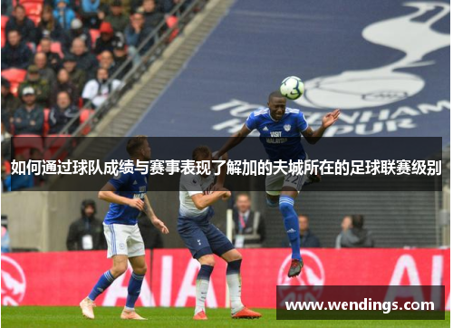 如何通过球队成绩与赛事表现了解加的夫城所在的足球联赛级别