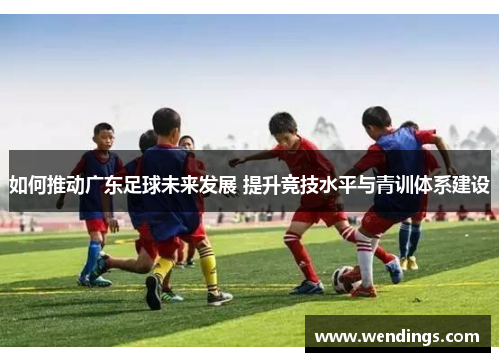 如何推动广东足球未来发展 提升竞技水平与青训体系建设