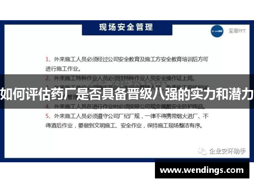 如何评估药厂是否具备晋级八强的实力和潜力 如何评估药厂是否具备晋级八强的实力和潜力