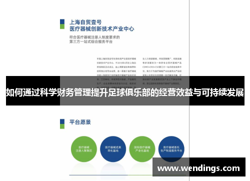如何通过科学财务管理提升足球俱乐部的经营效益与可持续发展 如何通过科学财务管理提升足球俱乐部的经营效益与可持续发展