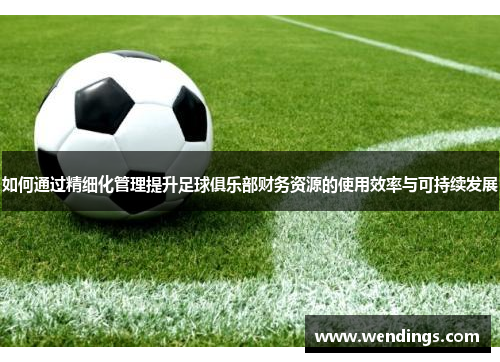 如何通过精细化管理提升足球俱乐部财务资源的使用效率与可持续发展 如何通过精细化管理提升足球俱乐部财务资源的使用效率与可持续发展