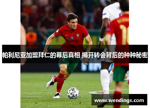 帕利尼亚加盟拜仁的幕后真相 揭开转会背后的种种秘密