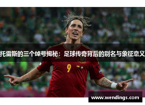 托雷斯的三个绰号揭秘：足球传奇背后的别名与象征意义