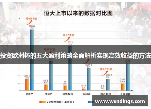 投资欧洲杯的五大盈利策略全面解析实现高效收益的方法